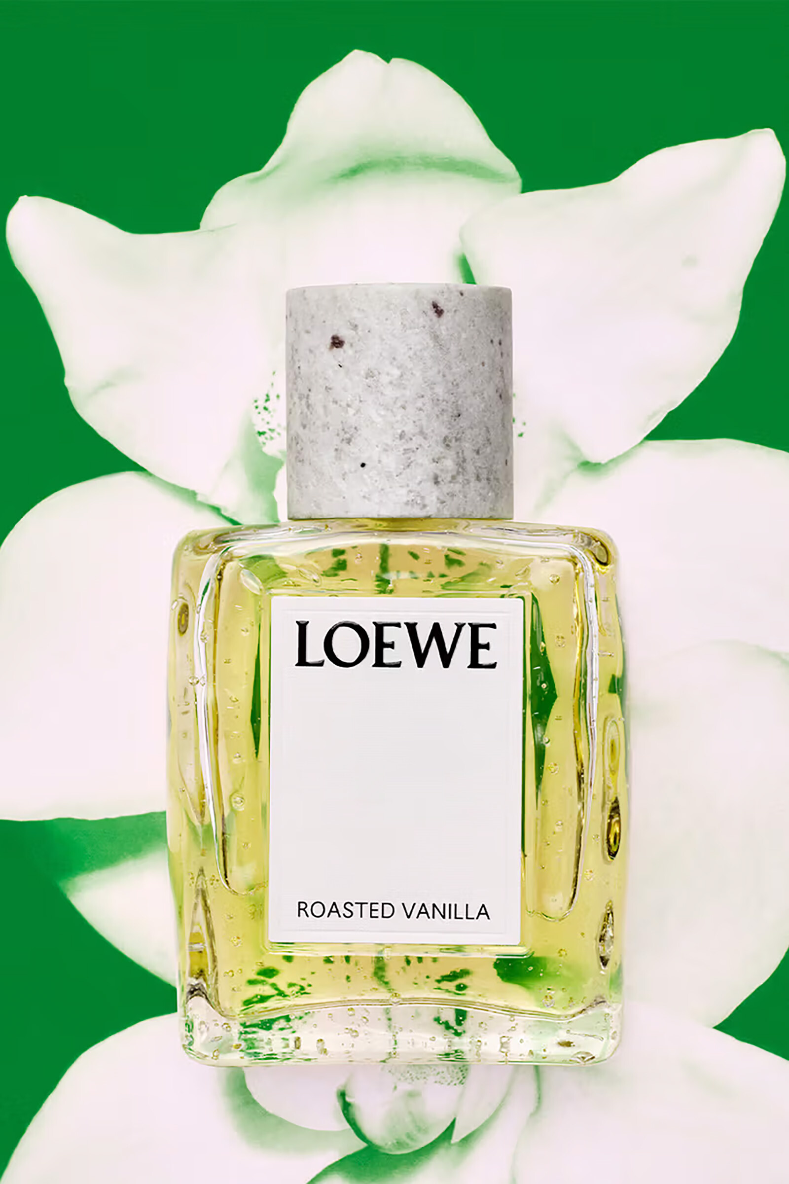 Loewe Perfumes Crafted