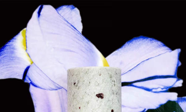 Loewe Perfumes представил новую коллекцию ароматов Crafted