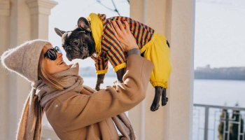 Одежда для собак: нужен ли питомцу гардероб Одежда для собак: нужен ли питомцу гардероб