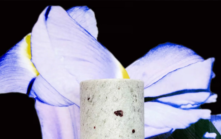 Loewe Perfumes представил новую коллекцию ароматов Crafted