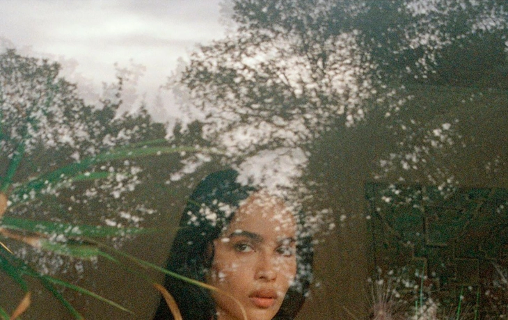 Зои Кравиц и Джереми Аллен Уайт разделись для кампании Saint Laurent